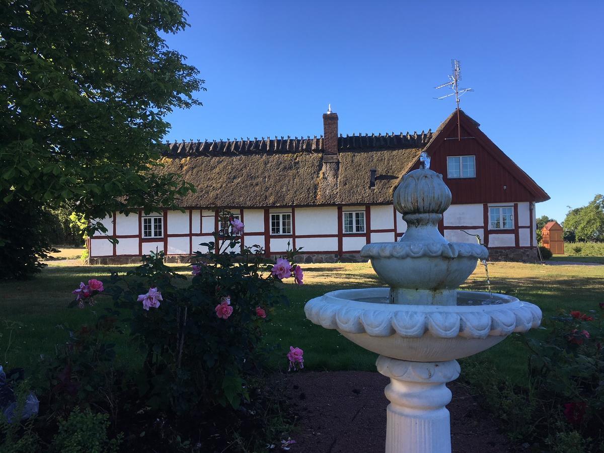 Kastanjegarden Pa Stenshuvud Kivik Luaran gambar